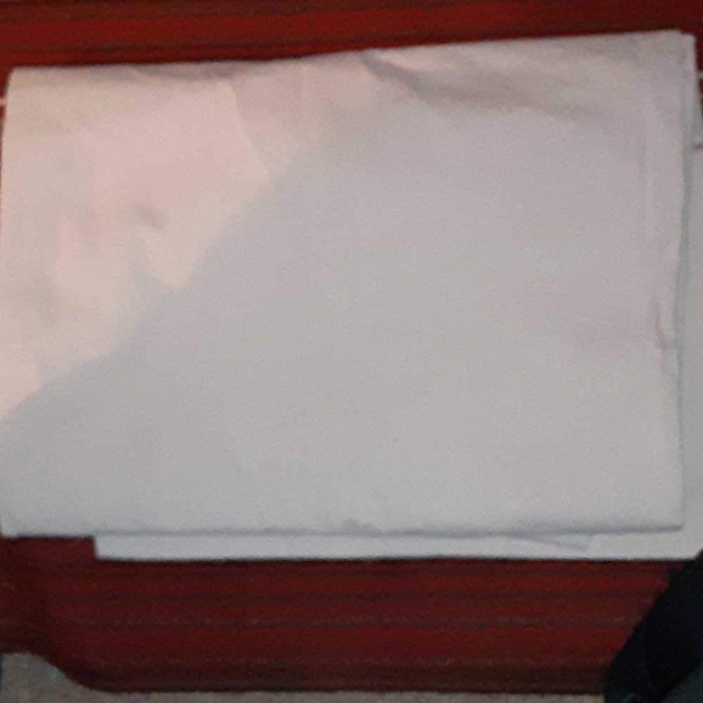 Canvas Runner never used but no tags